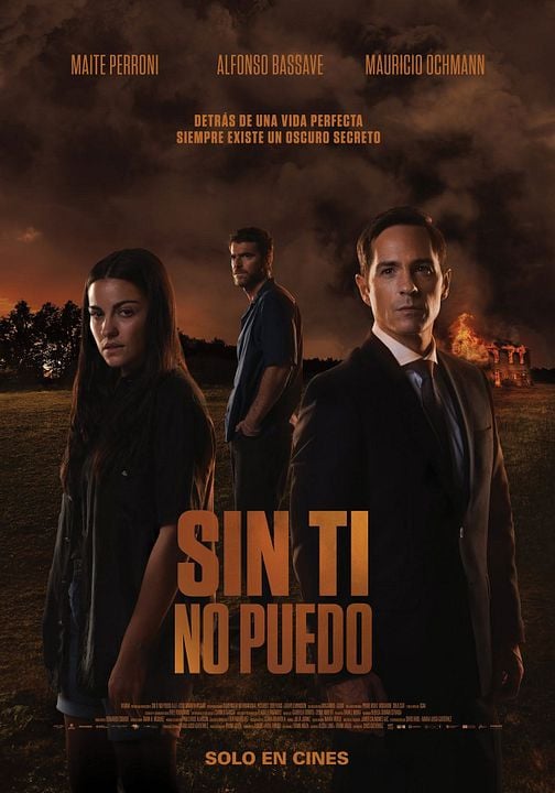 Sin ti no puedo : Póster