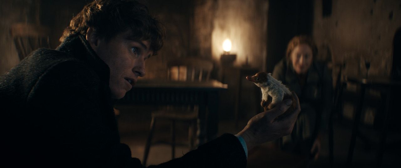 Animales Fantásticos: Los secretos de Dumbledore : Foto Eddie Redmayne