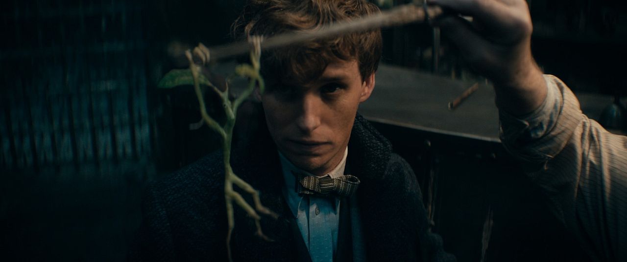 Animales Fantásticos: Los secretos de Dumbledore : Foto Eddie Redmayne