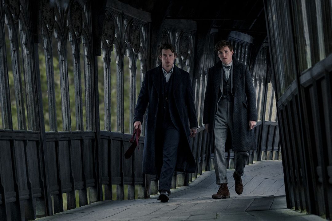 Animales Fantásticos: Los secretos de Dumbledore : Foto Callum Turner, Eddie Redmayne