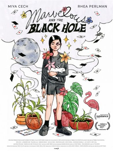 Marvelous and the Black Hole : Póster