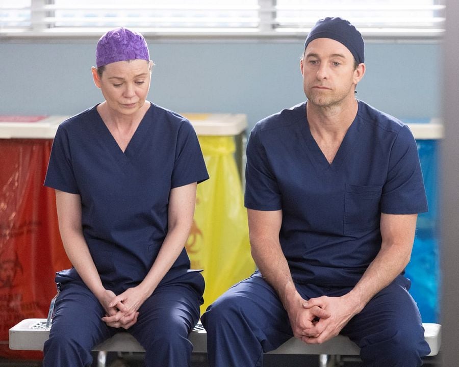 Grey's Anatomy : Foto Scott Speedman, Ellen Pompeo