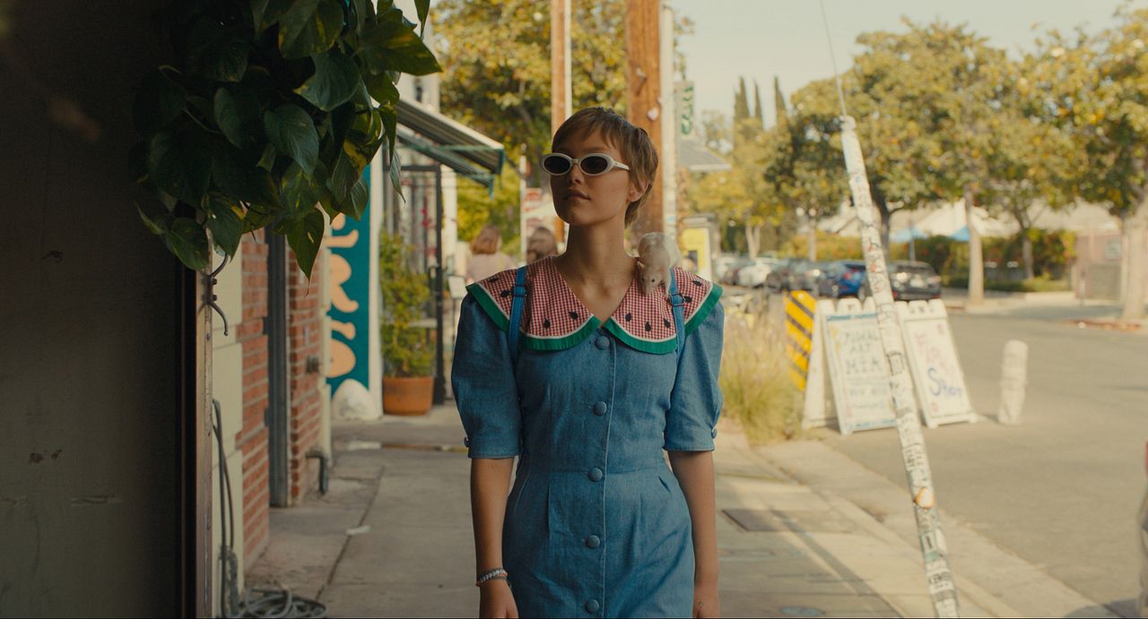 Stargirl en Hollywood : Foto