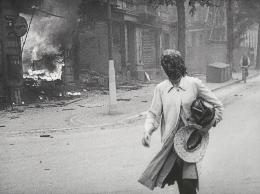 The Natural History of Destruction : Foto