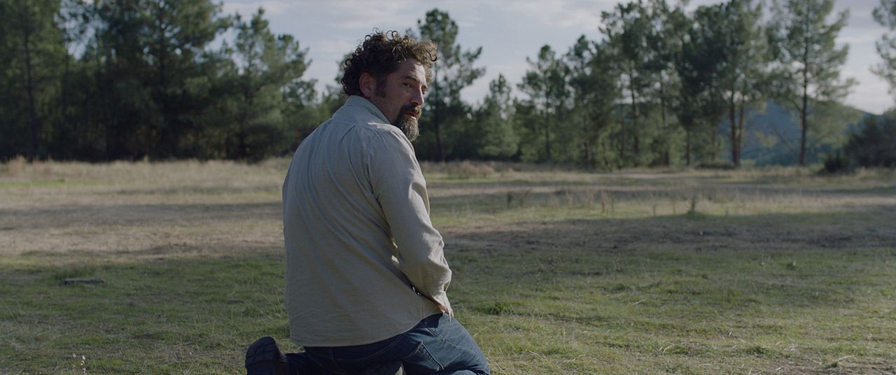 Remains of the Wind : Foto Nuno Lopes