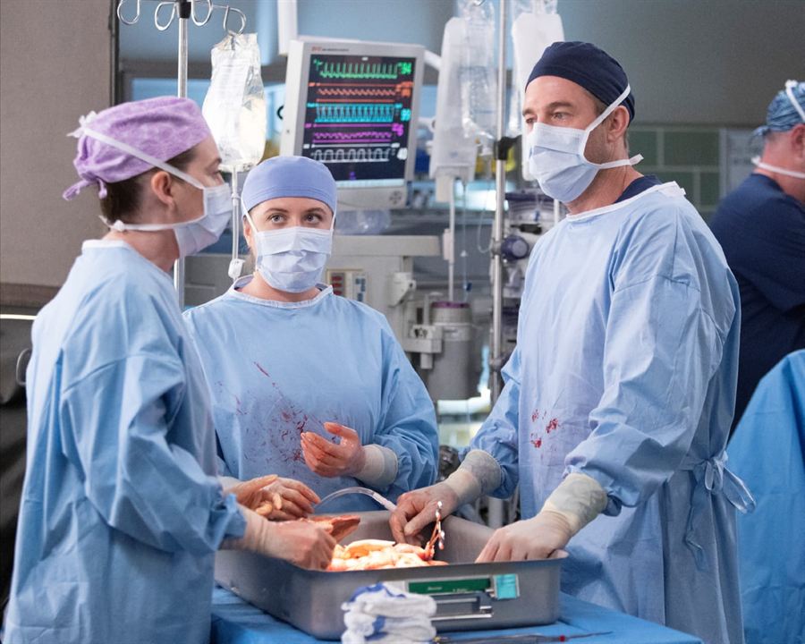 Grey's Anatomy : Foto Scott Speedman, Ellen Pompeo