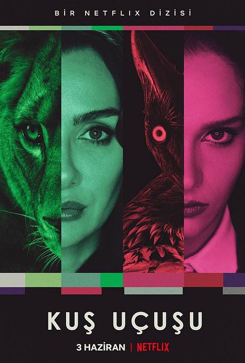 Como vuela el cuervo : Póster