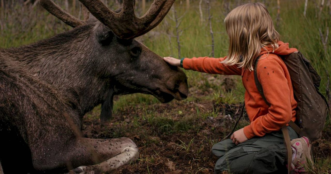 Sisters: El verano que encontramos nuestros superpoderes : Foto