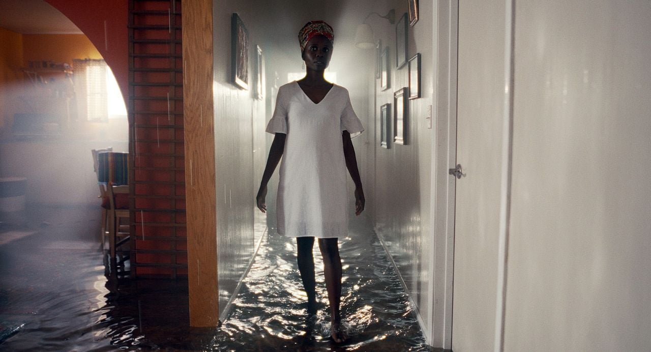 Árboles de paz : Foto