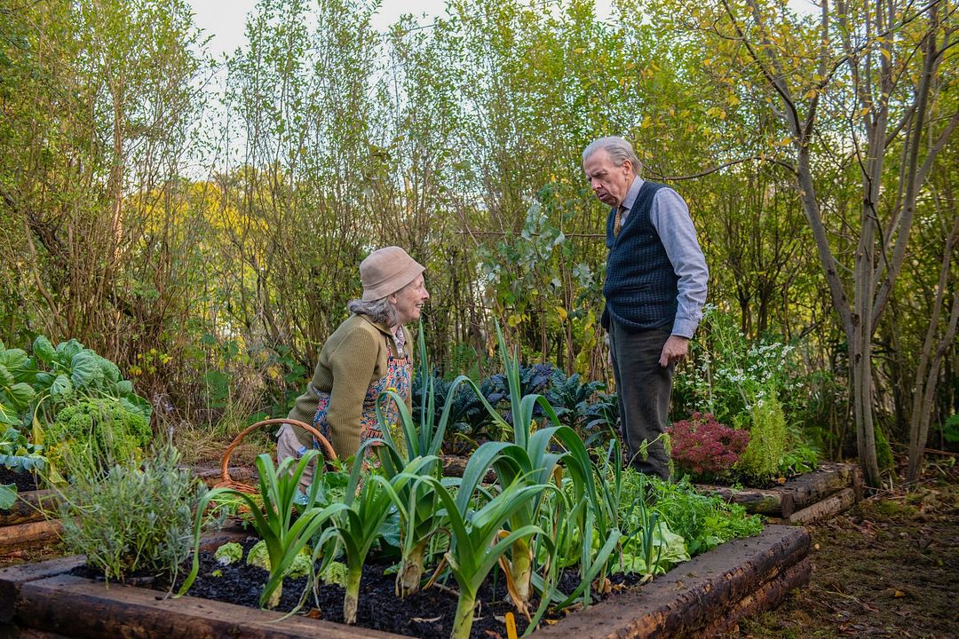 The Last Bus : Foto Timothy Spall
