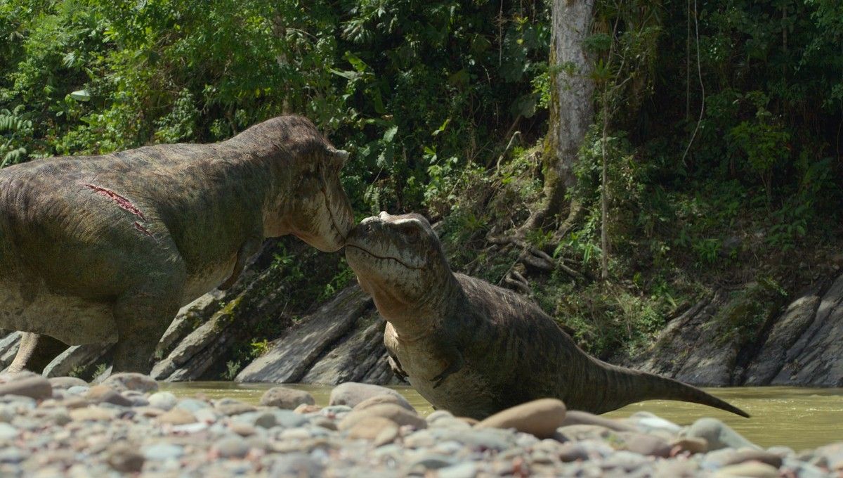 Planeta prehistórico : Foto