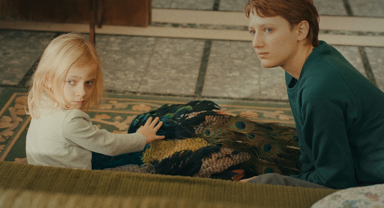 Il paradiso del pavone : Foto