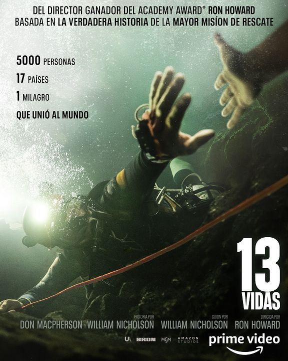 13 vidas : Póster