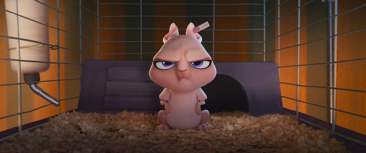 DC Liga de Súper-Mascotas : Foto