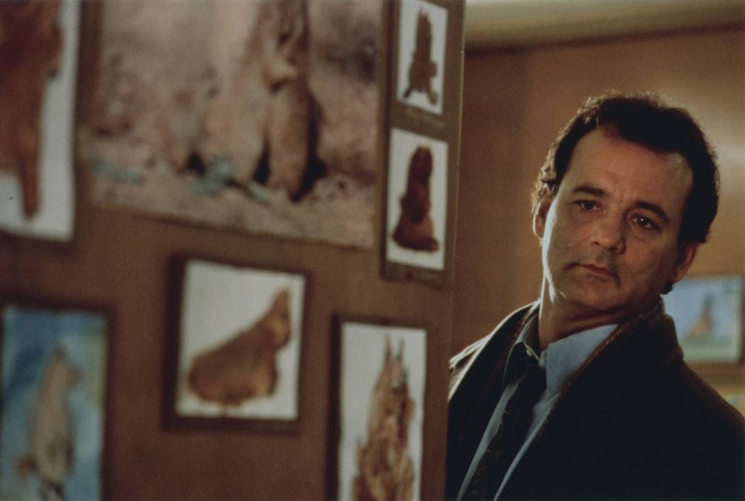 Foto Bill Murray