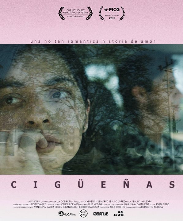 Cigüeñas : Póster