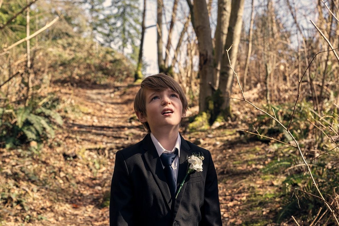 Ollie está perdido : Foto