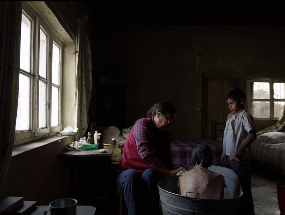 Estación catorce : Foto