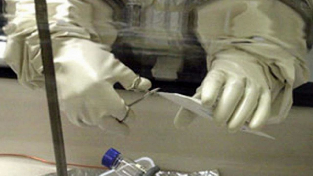 Los ataques con ántrax : Foto