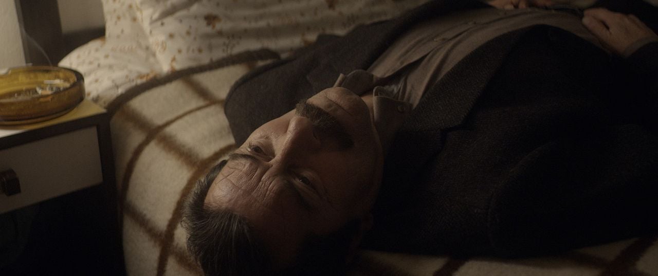 Anadolu Leoparı : Foto