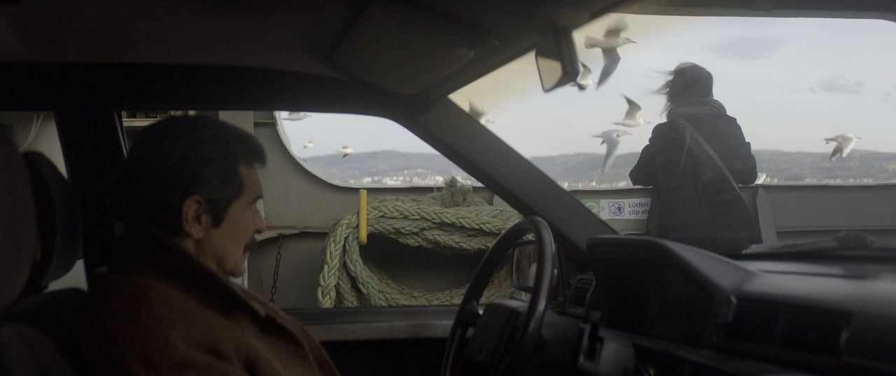 Anadolu Leoparı : Foto