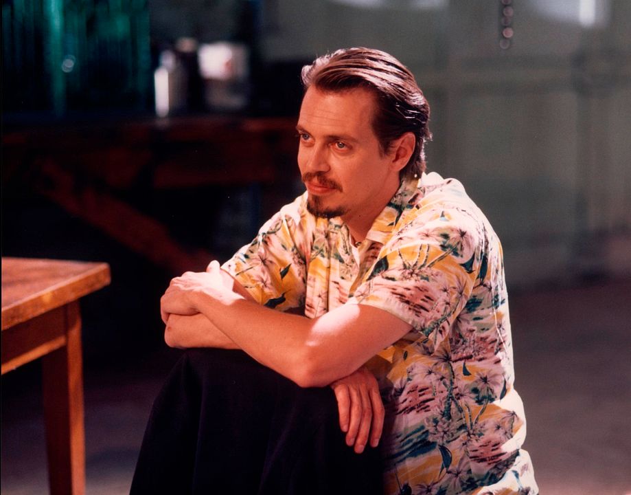 Perros de reserva : Foto Steve Buscemi