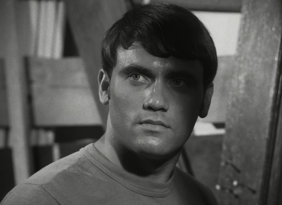 La noche de los muertos vivientes : Foto