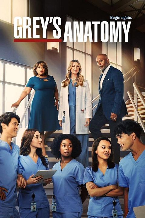 Grey's Anatomy : Póster