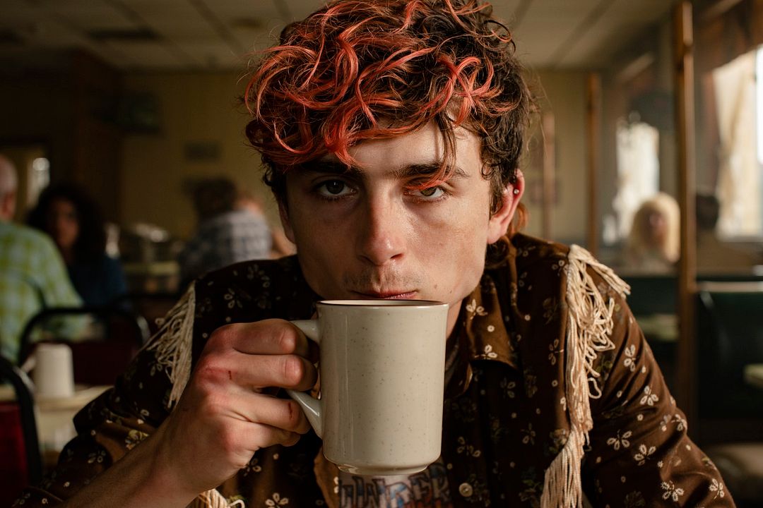 Hasta los huesos : Foto Timothée Chalamet