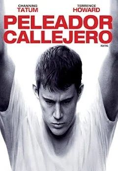 Peleador callejero : Póster