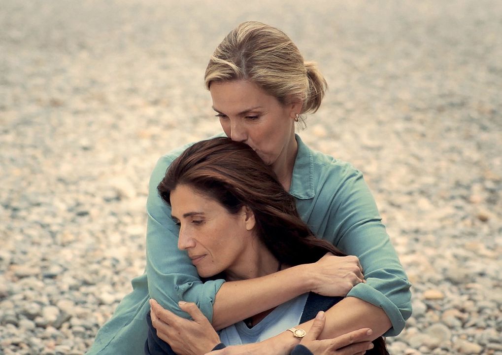 Pan de limón con semillas de amapola : Foto