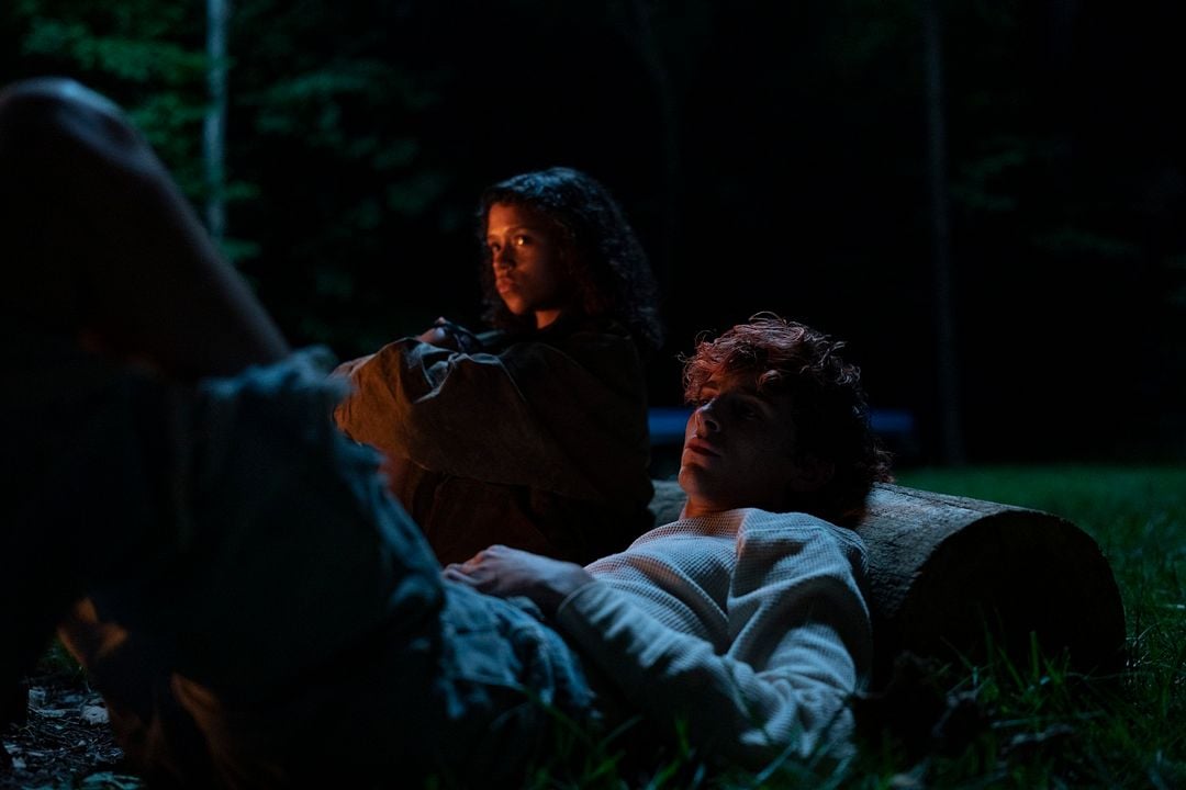 Hasta los huesos : Foto Timothée Chalamet, Taylor Russell