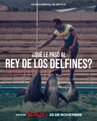 ¿Qué le paso al rey de los delfines? : Póster