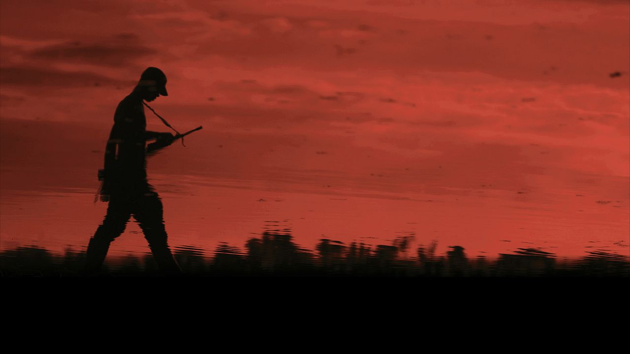 Colombia in My Arms : Foto