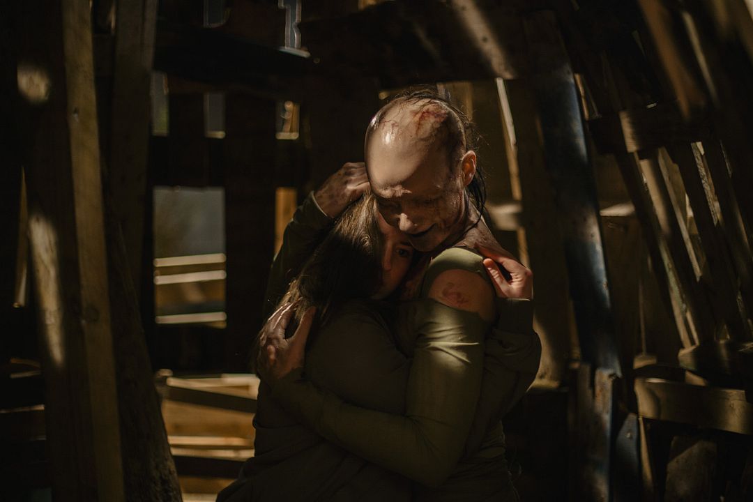 You Are Not My Mother : Foto