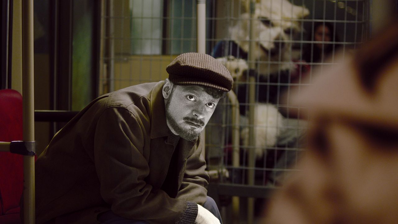 The Ordinaries : Foto