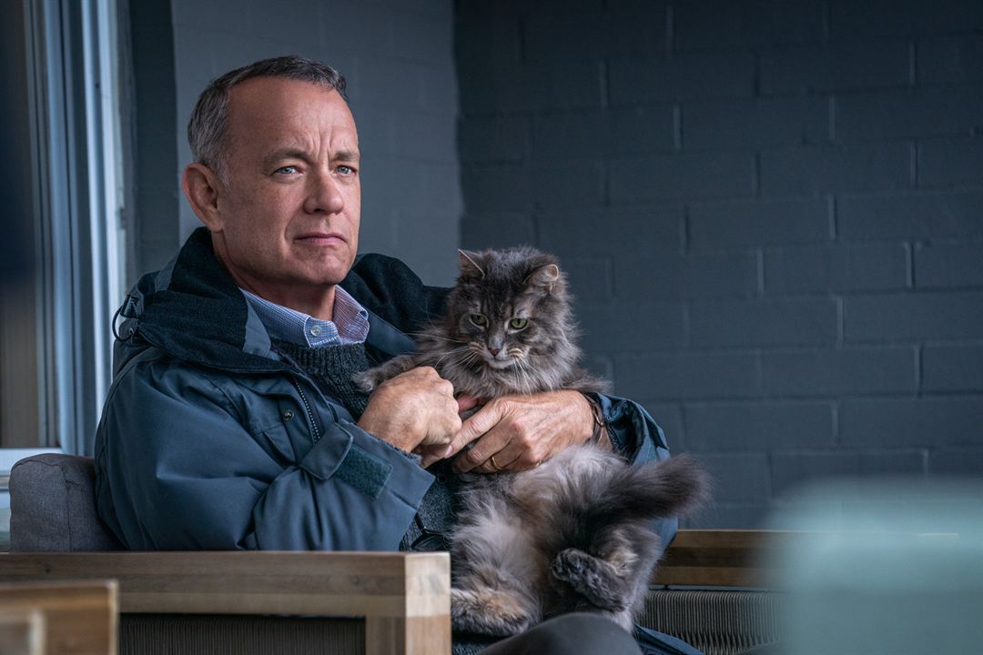 Un Vecino Gruñón : Foto Tom Hanks