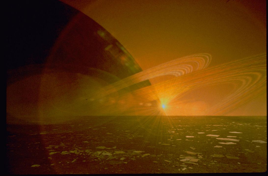 Criaturas de la noche : Foto