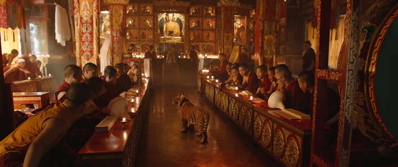 El niño y el tigre : Foto