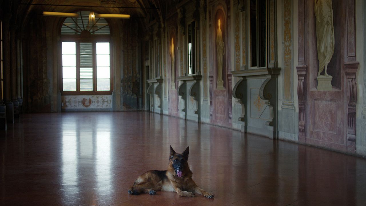 Gunther, el perro millonario : Foto