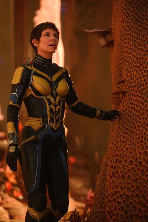 Ant-Man and The Wasp: Quantumania : Foto Evangeline Lilly