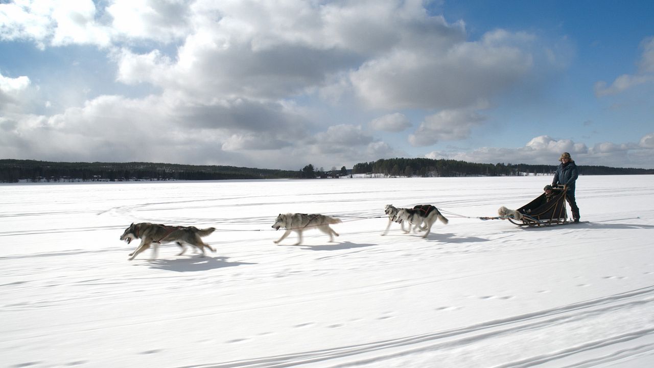 De (mal) viaje : Foto Eugene Levy