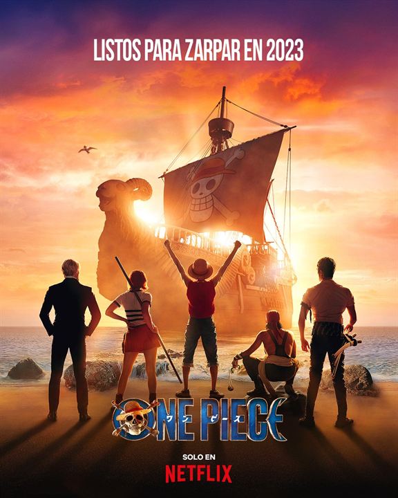 One Piece : Póster