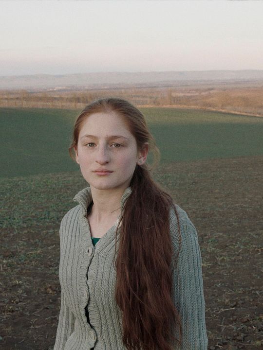 The Cage is Looking for a Bird : Póster