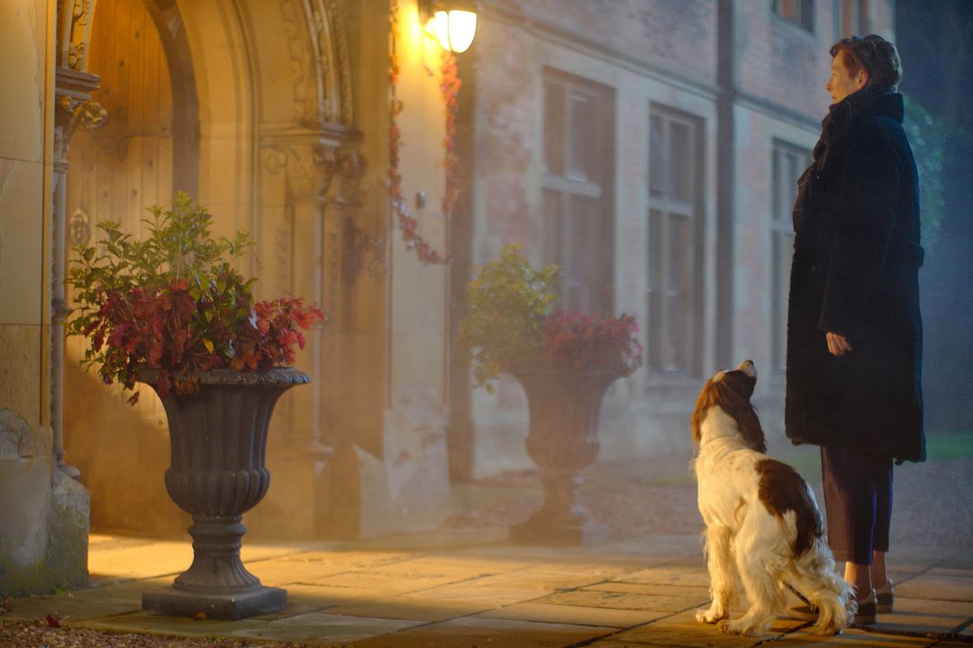 The Eternal Daughter : Foto