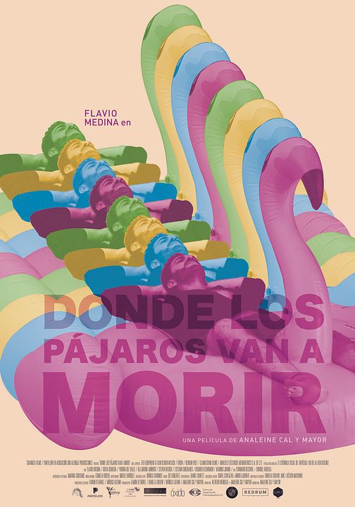 Donde los pájaros van a morir : Póster