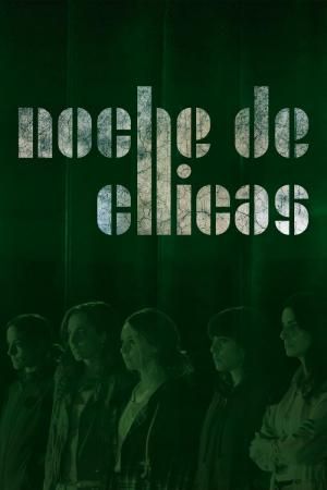 Noche de Chicas : Póster