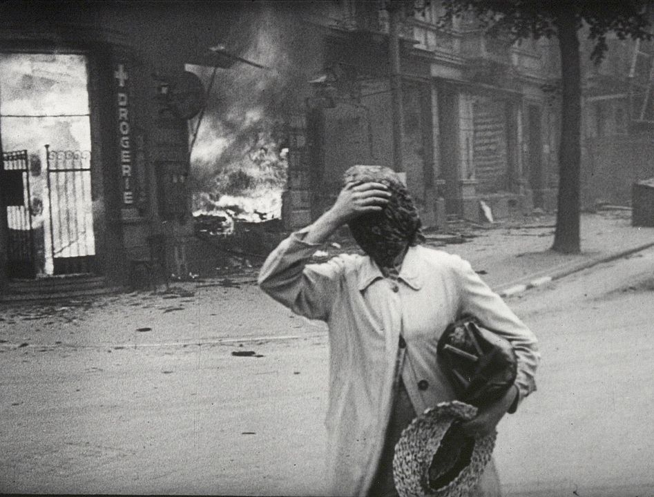 The Natural History of Destruction : Foto