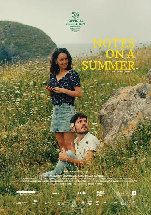 Notas sobre un verano : Póster