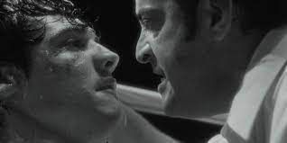 Ringo: Gloria y Muerte : Foto